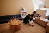 「【福山駅前】屋根付き公園　[福山市西町アメリカンドーナツ専門店 laughterdoughnuts(ラフタードーナツ)福山駅から徒歩7分 itiSETOUCHI(イチセトウチ)内]」