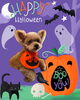 「Dog salon mofu mofu　余市町」