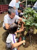 「🍀年長 はと組１学期保育参観🍀」