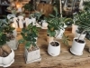 1つ1つがオシャレ！「植物初心者でもOK！観葉植物の事ならglowlab(グロウラボ)さんへ♪」