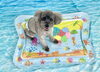 あんずちゃん「波とわんこ🌊」