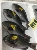 「魚魚市場鮮魚コーナーおすすめは「羽ガツオ・ビンチョウマグロ」です♪」