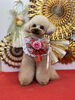 はぴちゃん「Happy New Year」