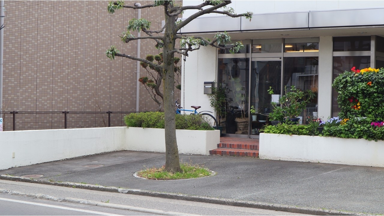 長野市三輪に整体院 Seitai Zen繕 が21年6月1日オープン 長野市の開店 閉店情報 まいぷれ 長野市 長野市三輪に整体院 Seitai Zen繕 が21年6月1日オープン 長野市の開店 閉店情報 まいぷれ 長野市