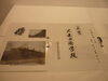 企画展「今日から始まりました！企画展の見どころを紹介します！」