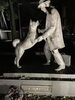 忠犬ハチ公と上野博士🐕「☆カラフル野菜の小山農園、東京大学へ☆」