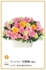 4月の誕生花 アルストロメリア ガーベラ記念日 花キューピットでお花じかん まいぷれ 黒部 入善 朝日 4月の誕生花 アルストロメリア ガーベラ記念日 花キューピットでお花じかん まいぷれ 黒部 入善 朝日