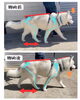 「＼犬の整体🐶もみもみわんこ／」