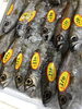 「魚魚市場鮮魚コーナーおすすめは「うちわエビ」です♪」