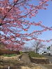 「佐世保市針尾東町にある一魚一会(いちぎょいちえ) 2月12日のランチメニューはなんと‼︎」
