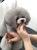 「冬のオプションキャンペーン　（＾ν＾）」