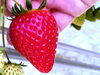 「２月１７日の朝食です🍓」