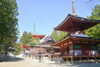 「今日のおすすめツアー紹介❣【高野山日帰り観光ツアー(タクシー付き)】」