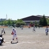 新井田公園へぷらっと♪