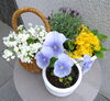 季節の花々をフラワーギフトにして販売します！「RENGA「母の日マルシェ」開催のお知らせ」