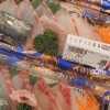 イシダイの刺身　