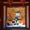【紅葉スポット】茅野市／蓼科山聖光寺