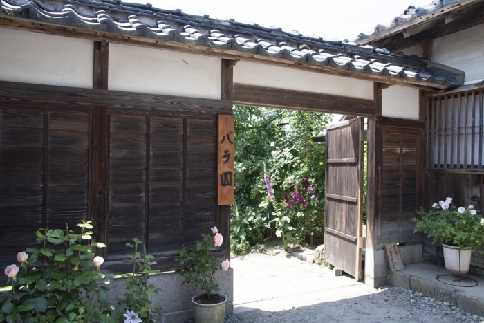 二宮家バラ園 へ行ってきました まいぷれ新発田編集部 勝手に盛り上げ企画まとめ まいぷれ 新発田 胎内 聖籠 二宮家バラ園 へ行ってきました まいぷれ新発田編集部 勝手に盛り上げ企画まとめ まいぷれ 新発田 胎内 聖籠