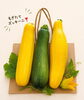 黄色と緑！色鮮やかなズッキーニです「もぎたてズッキーニをいただきました🥒家庭菜園の恵みにほっこり」