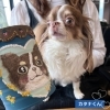 カタナくんもイケメン😍「かわいく作ってもらいました😍」