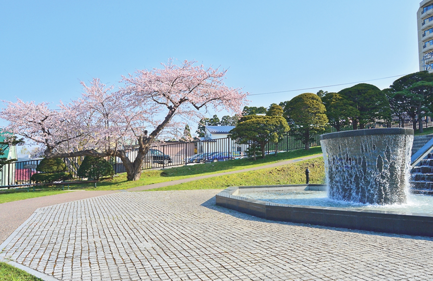 元町排水場・お花見スポット