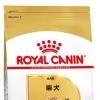 RC BHN 柴犬　成犬　8kg