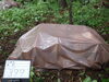 「美山公園の松枯れ伐採くん蒸」