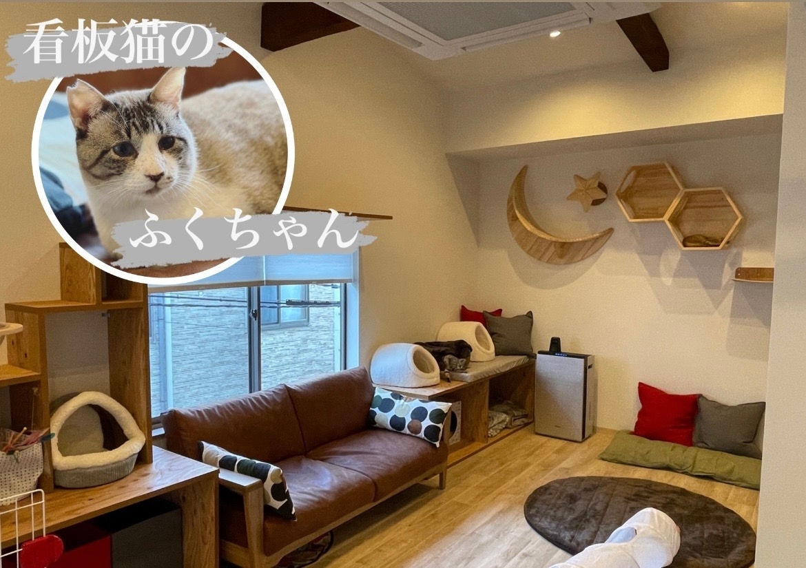福島 Nekotto ネコット 22 1 11 オープン 福島区の新店情報 ニューオープンしたお店特集 まいぷれ 大阪市福島区 福島 Nekotto ネコット 22 1 11 オープン 福島区の新店情報 ニューオープンしたお店特集 まいぷれ 大阪市福島区