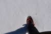 「入笠湿原約10㎝の新雪が降りました（雪山登山）」