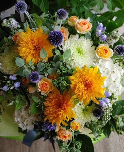 お盆のお花 お墓参りのお花は 下総中山から徒歩7分の小さな花屋ミドリヤプラスへ 花と雑貨 Midoriya Plusのニュース まいぷれ 船橋市 お盆のお花 お墓参りのお花は 下総中山から徒歩7分の小さな花屋ミドリヤプラスへ 花と雑貨 Midoriya Plusのニュース まいぷれ 船橋市