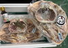 「カット済で捌く手間なし！タグ付松葉がに（だし付）の超超特価は10月31日まで」