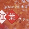 【広島紅葉スポット】福山市内で楽しむ紅葉特集