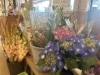 切り花で紫陽花も出荷中~「夏は梅仕事の季節！梅入荷しました！」