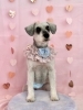 ビートくん「ピンクバレンタイン💕」
