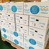 「「イバラキング」も入荷していますよー 茨城県産「イバラキングメロン」」