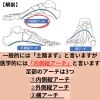 土踏まずについての解説２「【土踏まずがない人はヤバイ】」