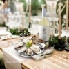 【和歌山市】『8TH SEA OYSTER bar(エイスシーオイスターバー)和歌山店』が5月23日、和歌山市友田町にNEW OPEN！