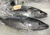 「魚魚市場鮮魚コーナー「ヒゲダイ」です♪」