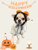 「Dog salon mofu mofu　余市町」