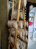 「📣本日のお魚情報🐟」