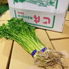 「昨日からJAいわて花巻の「江釣子せり」の入荷が始まったよー♪♪ 」