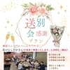 贅沢・満足コース（4名様より）