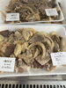 割引き「お惣菜火曜日割引き実施中」