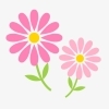マタニティ整体【30分】