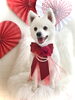 未来ちゃん／すっきりスタイル「Happy Valentine ♡」