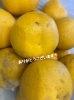 ありがとうございます！！🍊「八朔を差し入れでいただきました😋🍊食べごろが楽しみです‼️」