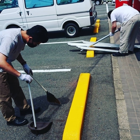 「【水戸】仕上がりが楽しみです(^^♪【めだか】」