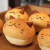 ネコモンド