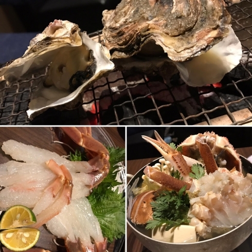 活ズワイ蟹と牡蠣「ひな祭りスペシャルのお知らせ【蒼の音】」