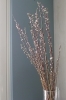 江口桃　入荷「春の枝モノ　戸塚安行の花屋フランテッセ」